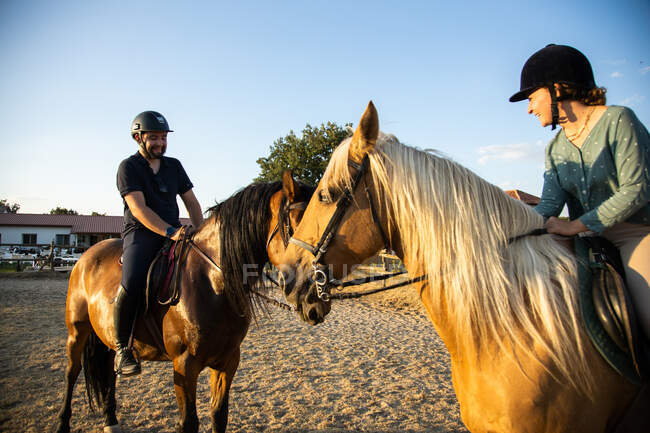 Donna con allenatore maschio cavalcare stalloni in campagna nella giornata di sole — Foto stock