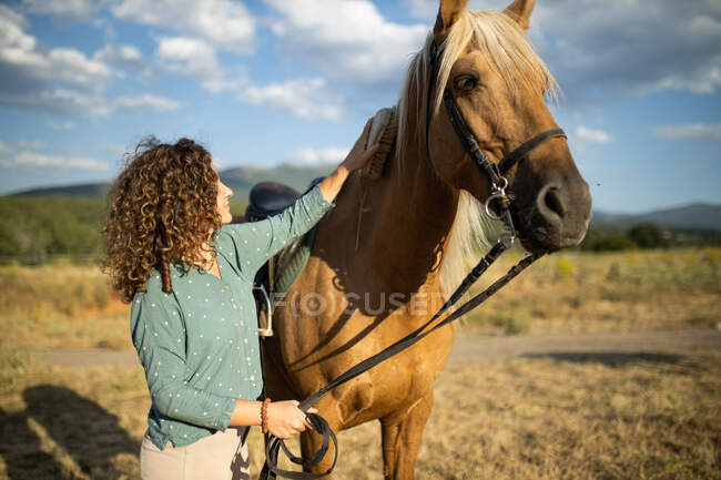 Side view of content mature female stroking stallion muzzle with smooth brown coat against hay in riding school on sunny day — Stock Photo