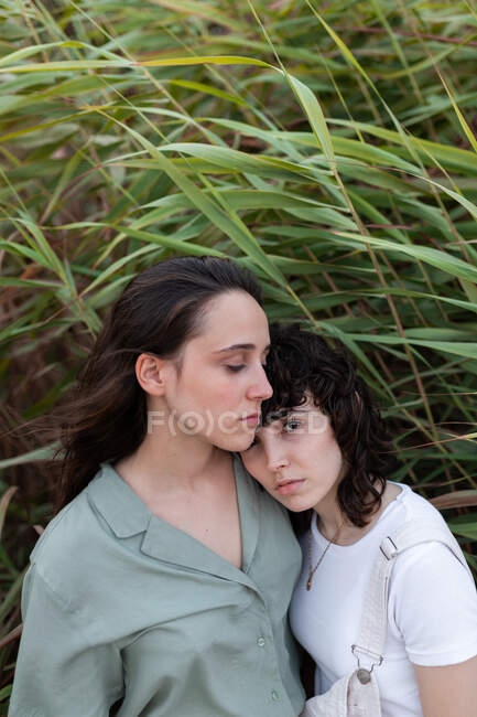 Von oben bezaubernde junge homosexuelle Freundinnen umarmten und blickten in die Kamera in der Nähe von Pflanzen — Stockfoto