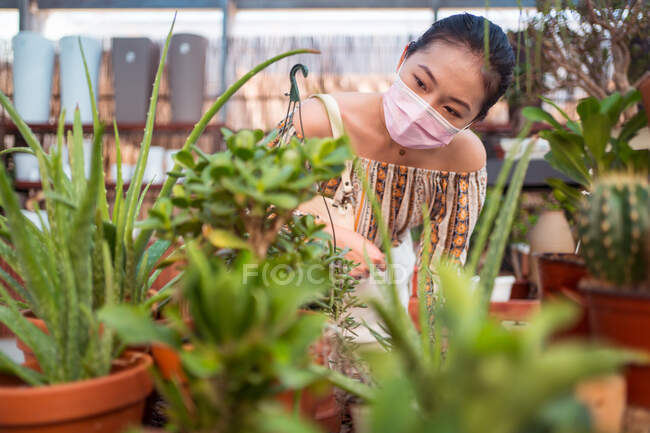 Joven comprador femenino étnico en máscara desechable elegir plantas en macetas mientras mira hacia otro lado en la tienda de jardín - foto de stock