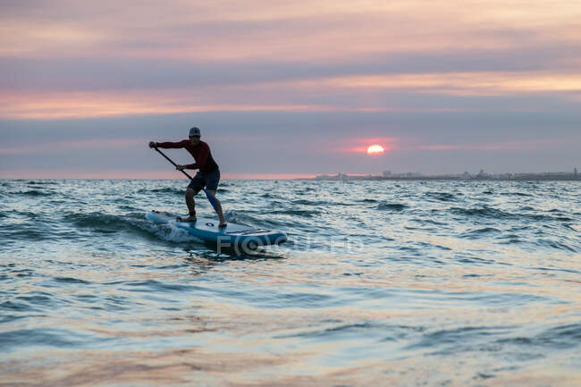 Hombre surfista en traje de neopreno y sombrero en tabla de paddle surfeando en la orilla del mar durante el atardecer - foto de stock