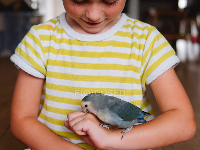 Menino bonito em t-shirt listrada sentado com pequeno pássaro com plumagem cinza em casa — Fotografia de Stock