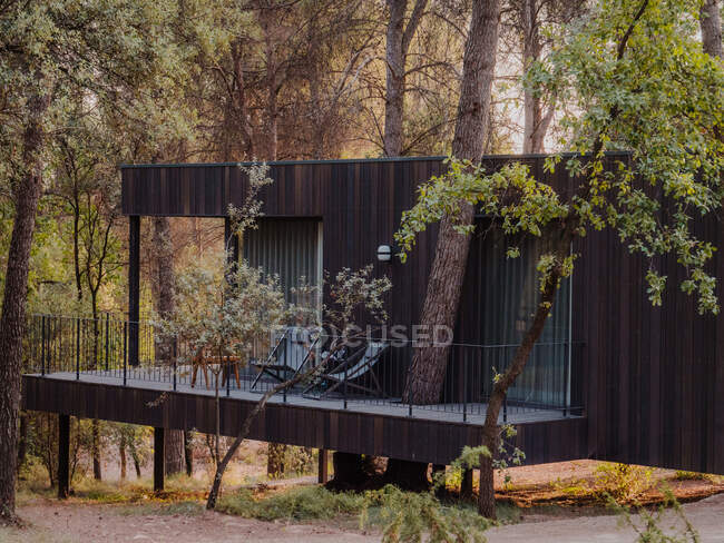 Chalet contemporain avec terrasse extérieure en bois et spacieuse située dans les bois en soirée d'été — Photo de stock