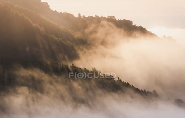 Scenic view of Pedriza with lush green trees growing on Guadarrama mountain range under misty sky at dawn in Spain — Stock Photo