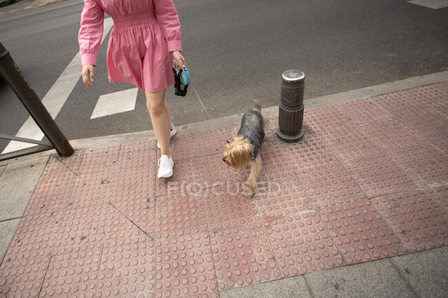 Cultivé propriétaire méconnaissable avec adorable Yorkshire Terrier avec la langue en laisse debout sur la rue pendant la marche — Photo de stock