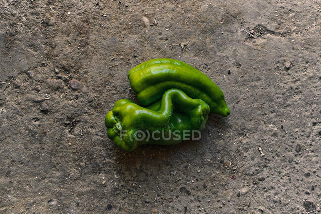 Vista superior close-up de duas pimentas verdes no chão — Fotografia de Stock