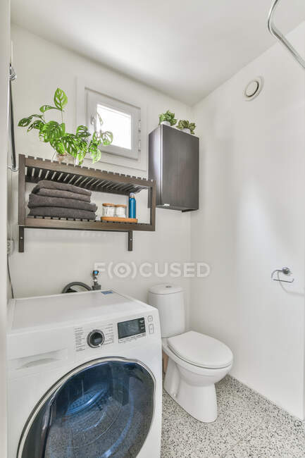 Interior del cuarto de baño contemporáneo con lavadora debajo de los estantes con la planta en maceta contra el gabinete encima del inodoro en casa - foto de stock