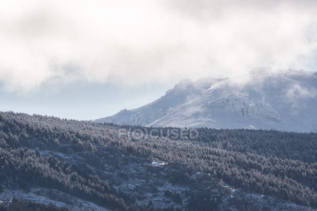 Paisaje de bosques siempreverdes creciendo en Sierra de Guadarrama en España bajo nubes cúmulos - foto de stock