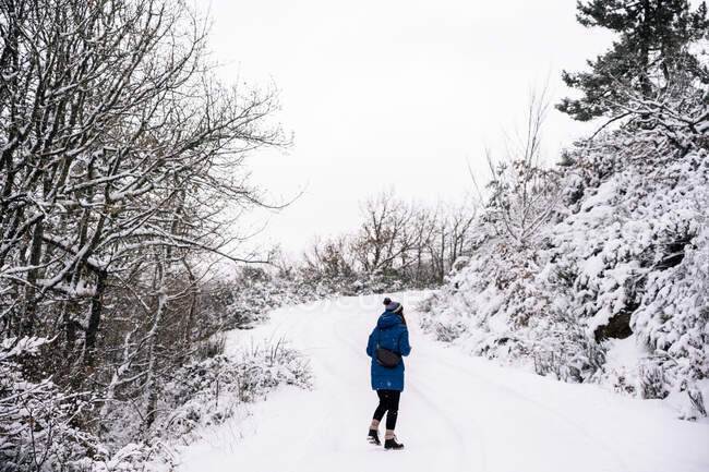 Обратный вид на неузнаваемую женщину-путешественницу в теплой верхней одежде, идущую по тропинке в снежных лесах в зимний день — стоковое фото