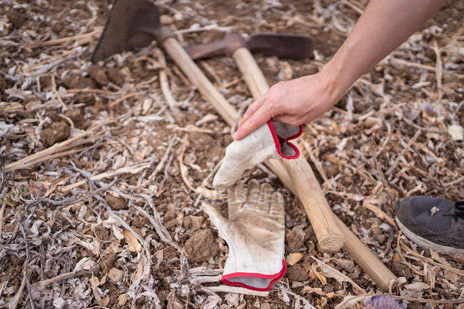 From above of crop anonymous horticulturist putting dirty glove on terrain with pickaxe and hoe — Stock Photo