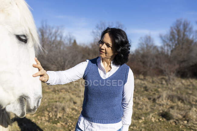 Contenido hembra madura acariciando hocico de caballo contra el prado en el campo en el día soleado - foto de stock