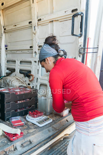 Vista lateral del atento jardinero femenino midiendo el peso de las frambuesas maduras en escamas digitales en el tronco de la furgoneta - foto de stock