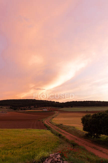 Vista panorâmica do caminho entre campos agrícolas com árvores sob céu nublado no campo ao pôr-do-sol — Fotografia de Stock