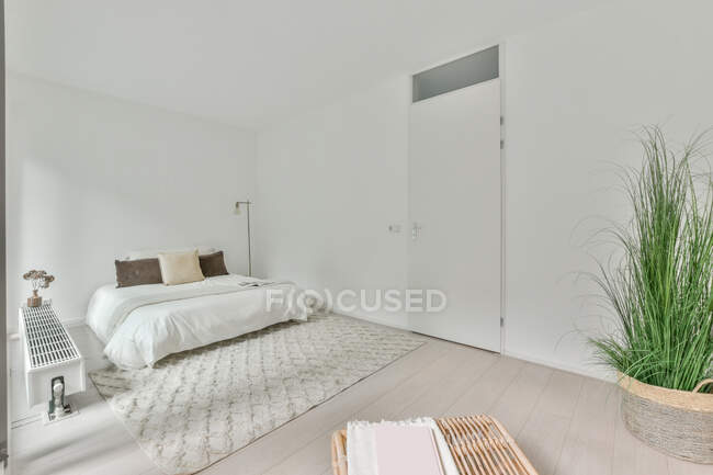 Intérieur minimaliste d'une chambre lumineuse spacieuse avec un lit confortable avec des oreillers colorés dans un appartement moderne en journée — Photo de stock