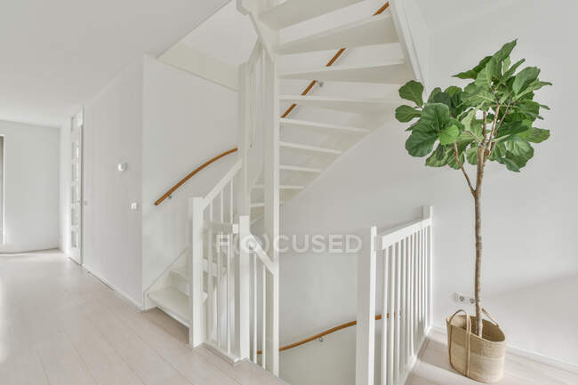 Інтер'єр просторого світлого коридору з білими сходами в квартирі з мінімалістичним дизайном — стокове фото