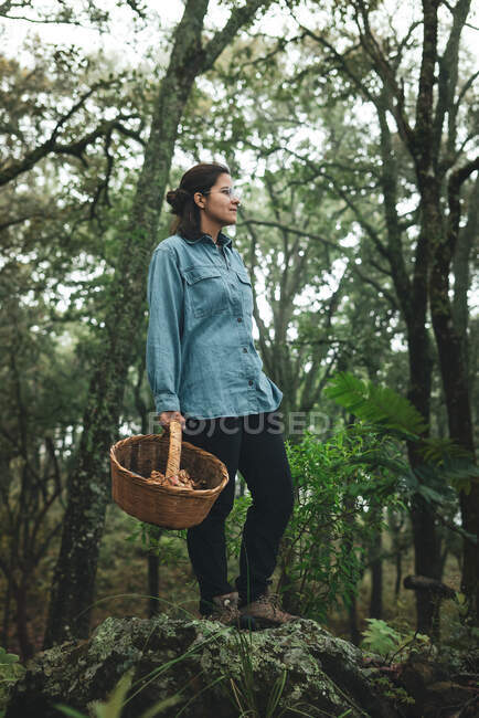 Жінка з плетеним кошиком шукає дикі їстівні гриби, стоячи на валунах у лісі — стокове фото
