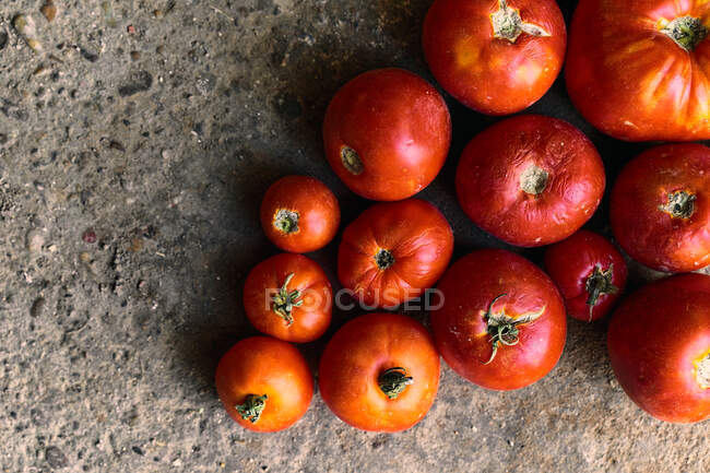 Вид зверху крупним планом купа червоних помідорів на землі — стокове фото