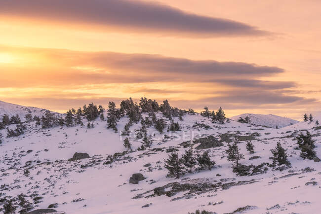Atemberaubende Landschaft mit schneebedeckten Hügeln und Bäumen vor hohen felsigen Bergen unter hellem Himmel bei Sonnenaufgang — Stockfoto