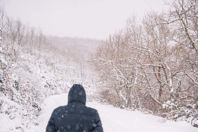 Rückansicht eines nicht wiedererkennbaren Mannes in Oberbekleidung, der auf schneebedecktem Pfad zwischen kahlen Bäumen auf Hügeln wandelt — Stockfoto