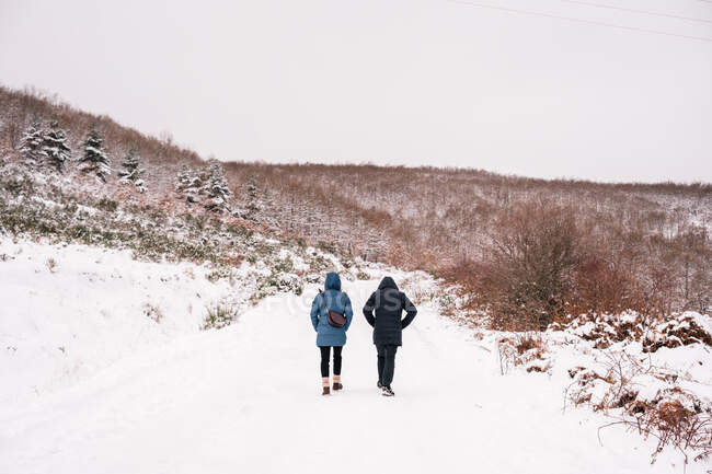 Вид ззаду невідомих мандрівників у теплому верхньому одязі, що йде по стежці, вкритій снігом на пагорби з безлистяним лісом під хмарним небом вдень — стокове фото