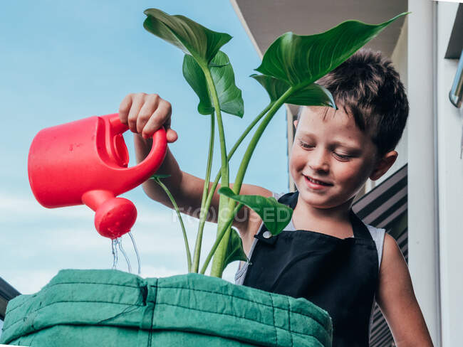 Sincere child in gardening apron with watering pot and looking away against Alocasia in balcony while watering — Stock Photo