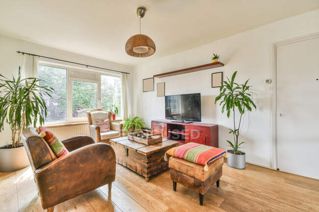 Интерьер современной гостиной с удобными креслами и зелеными растениями в цветочных горшках в доме разработан в деревенском стиле — стоковое фото