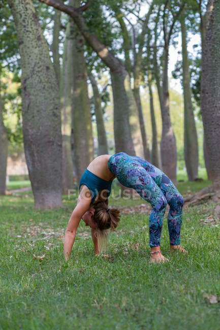 Vue latérale de la femme flexible en vêtements de sport exécutant Urdhva Dhanurasana pose pendant la séance de yoga dans le parc en journée — Photo de stock