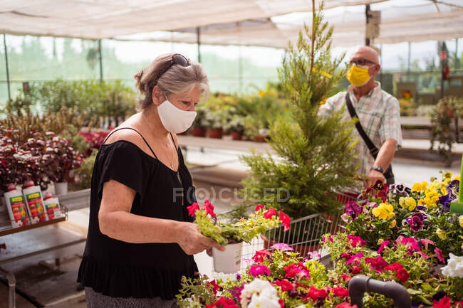 Compradora femenina en máscara de tela recogiendo planta en maceta con flores en flor contra socio con árbol de enebro en carro en tienda de jardín - foto de stock