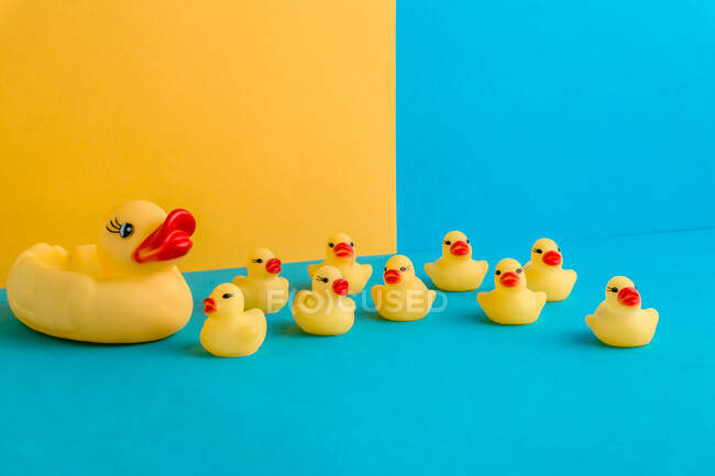 Набір милих гумових каченят та іграшок для качок, розміщених на яскравому синьо-жовтому тлі — стокове фото
