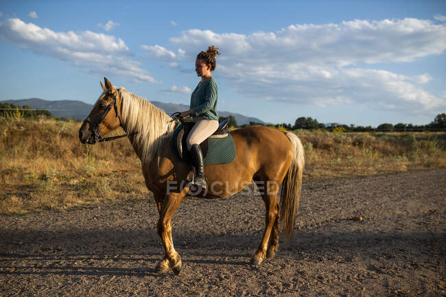 Vista laterale di cavalcare stallone femminile con cappotto marrone liscio su terreni accidentati contro il monte in campagna — Foto stock