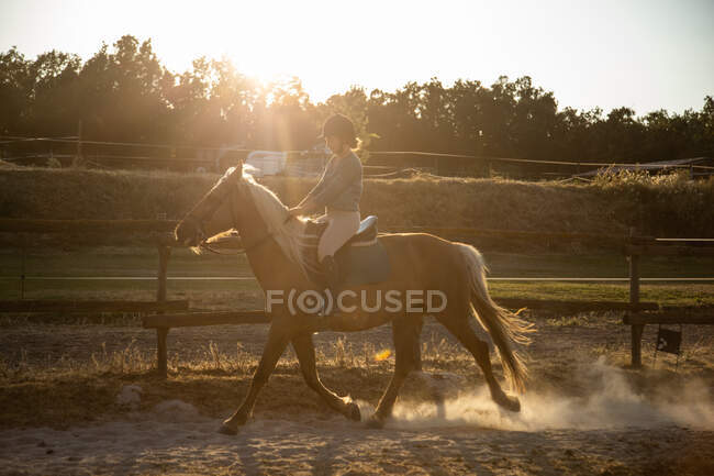 Side view of adult female riding stallion on sandy land with dust under shiny sky in back lit — Stock Photo