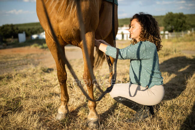 Side view of mature female adjusting reins on stallion with smooth brown coat on farm in sunlight — Stock Photo