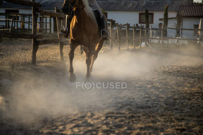Adulto ritagliato persona irriconoscibile cavalcando stallone su terreni sabbiosi con polvere sotto il cielo lucido in retroilluminato — Foto stock