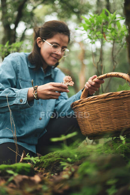From below female in eyeglasses picking edible Ramaria mushroom from ground covered with fallen dry leaves and putting into wicker basket — Stock Photo
