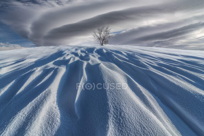 Scenery of hill covered with snow and bare shrubs growing in winter nature under cloudy sky — Stock Photo