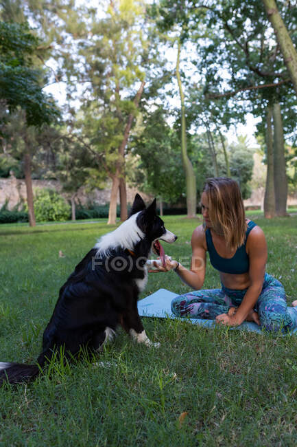 Женщина в спортивной одежде сидит на коврике и держит лапу послушной собаки во время занятий йогой в парке днем — стоковое фото