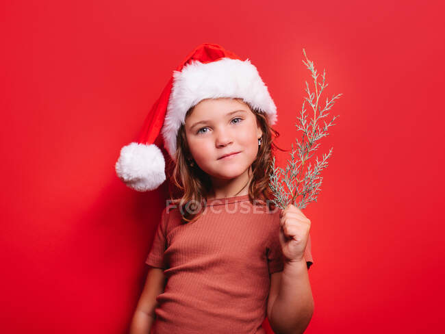 Cute little girl in casual clothes and Santa hat holding fir tree twig and looking at camera against red background — Stock Photo