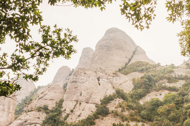 From below of high peaks of Montserrat mountain range covered with plants in Spain — Stock Photo