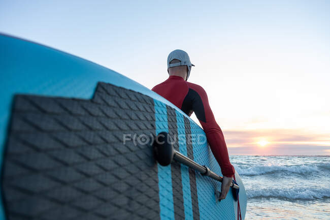 Задний вид на неузнаваемого серфера в гидрокостюме и шляпе, несущего доску для гребли и входящего в воду для серфинга на берегу моря — стоковое фото