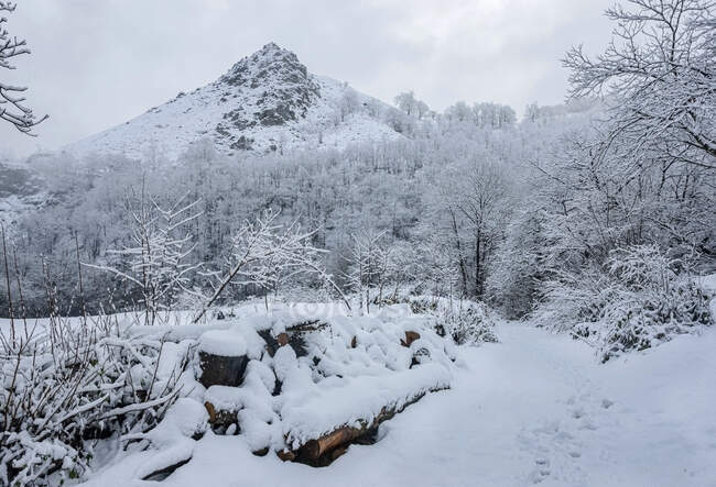 Landschaft aus Berghängen und mit weißem Schnee bedecktem Tal unter wolkenverhangenem Himmel im Naturpark Redes in Ruta del Alba Asturien (automatische Übersetzung) — Stockfoto