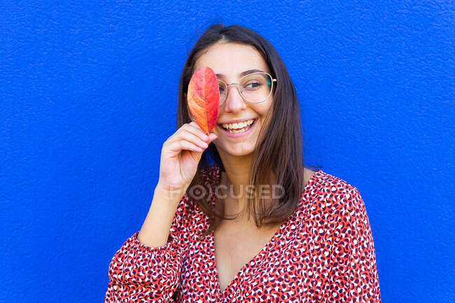 Усміхнена молода жінка з коричневим волоссям у червоній сукні та окулярах прикриває око осіннім листям і дивиться на синій фон — стокове фото