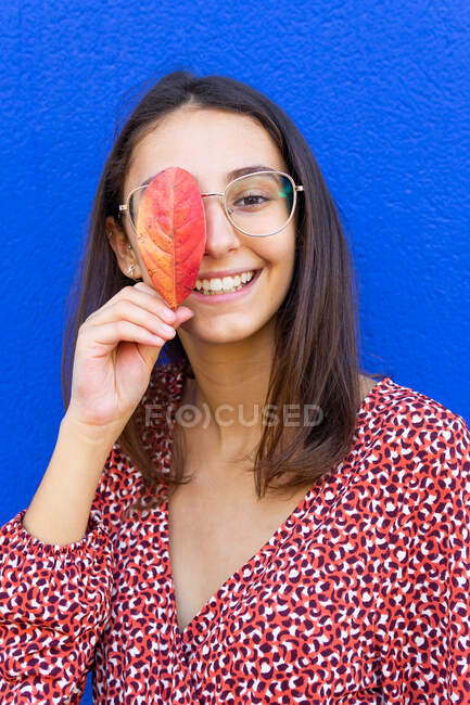 Усміхнена молода жінка з коричневим волоссям у червоній сукні та окулярах прикриває око осіннім листям і дивиться на камеру на синьому фоні — стокове фото