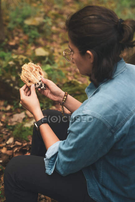 From above cropped unrecognizable female mycologist taking off dirt from Ramaria mushroom while in the woods — Stock Photo