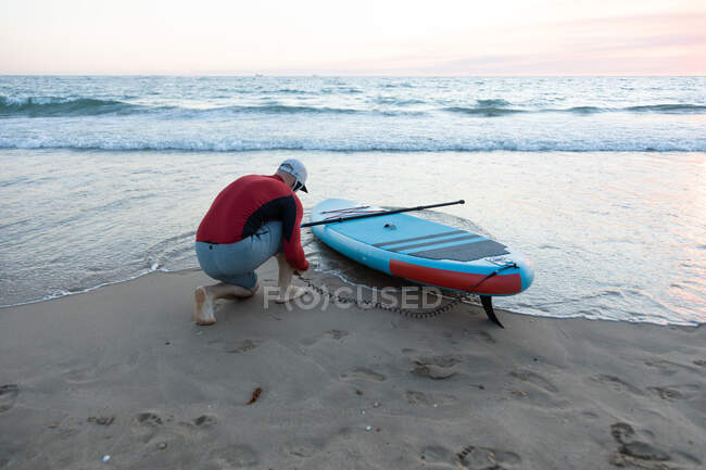 Vista posterior del surfista masculino en traje de neopreno que pone la correa del tobillo en la tabla SUP mientras se prepara para remar surf en la orilla del mar - foto de stock