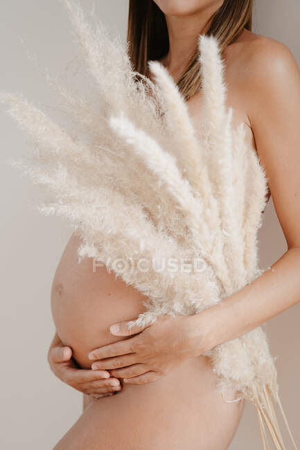 Side view of cropped unrecognizable nude adult expectant female with soft plant sprigs caressing belly while looking forward on light background — Stock Photo