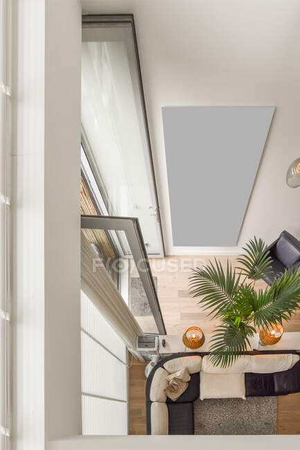 Сверху современного интерьера комнаты с диваном против горшечного растения и открытыми дверями дома — стоковое фото