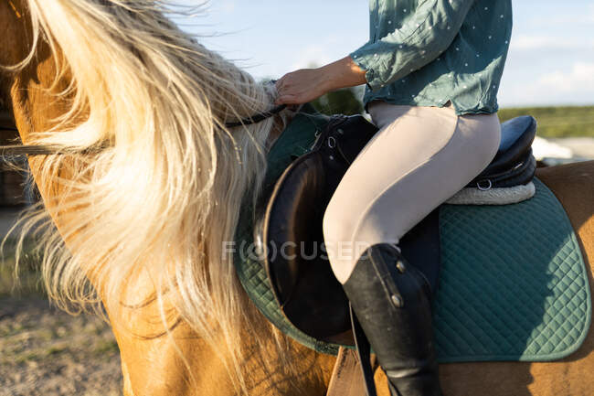 Side view of cropped unrecognizable female riding stallion with smooth brown coat on rough land against mount in countryside — Stock Photo