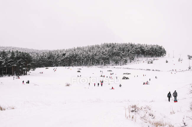 Personas montando y moviéndose en la ladera nevada de la colina contra el bosque de coníferas bajo el cielo nublado a la luz del día - foto de stock