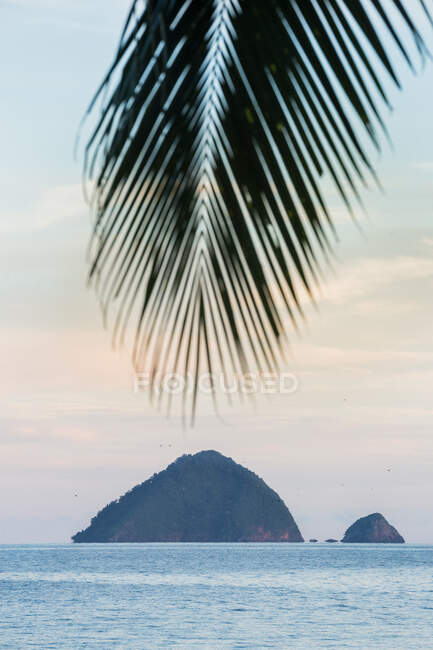 Tropische Palmenzweige gegen blaues plätscherndes Meer und bewaldete Hügel unter Wolken in Malaysia — Stockfoto