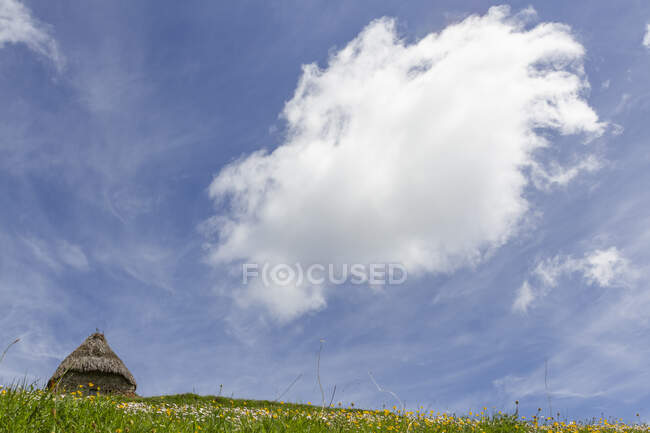 Pequena casa com paredes de pedra rasgadas e telhado de palha localizado na colina gramada verde sob céu azul nublado em Saliencia Somiedo, na Espanha — Fotografia de Stock